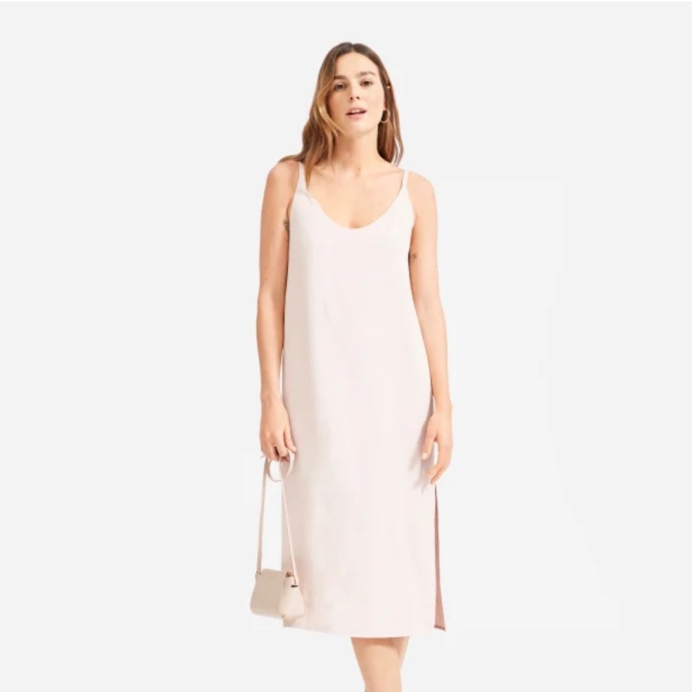 Everlane The Japanese GoWeave Slip Dress